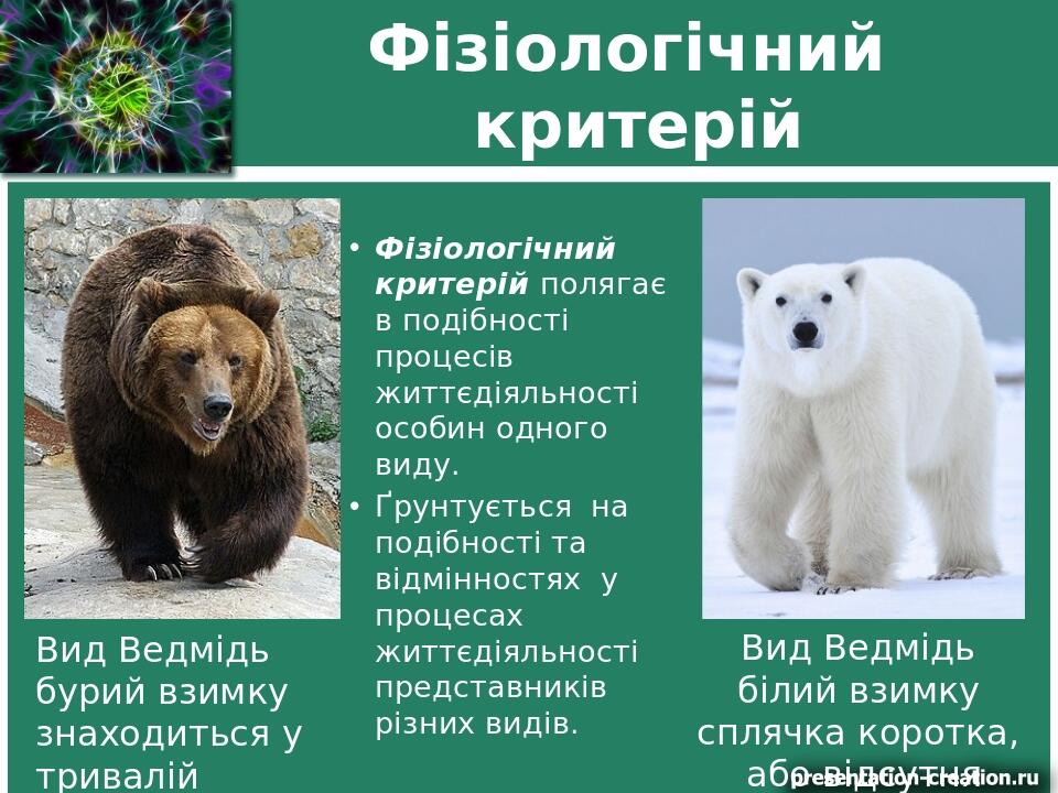 Фізіологічний критерій Фізіологічний критерій полягає в подібності процесів життєдіяльності особин одного виду. Ґрунтується на подібності та відмін...