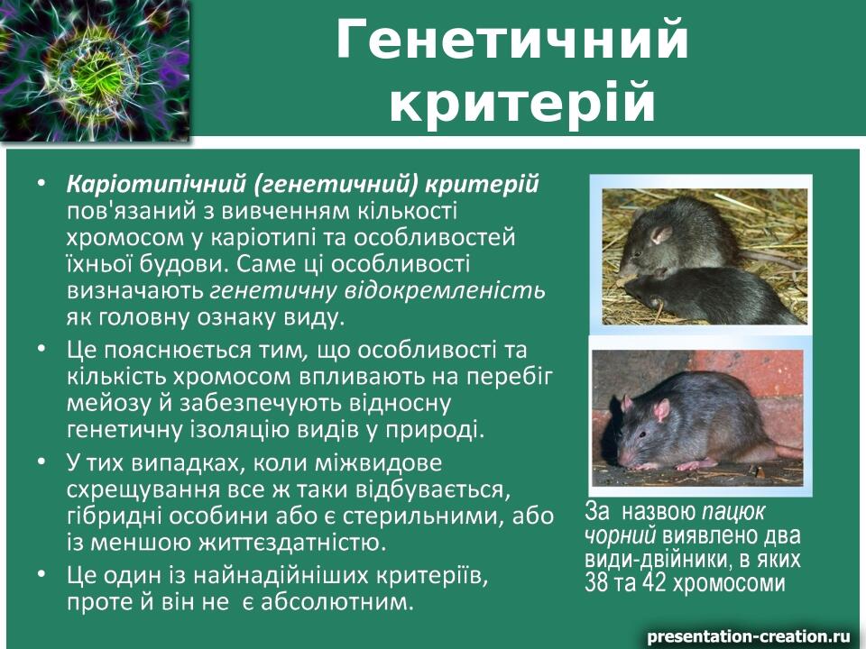 Генетичний критерій