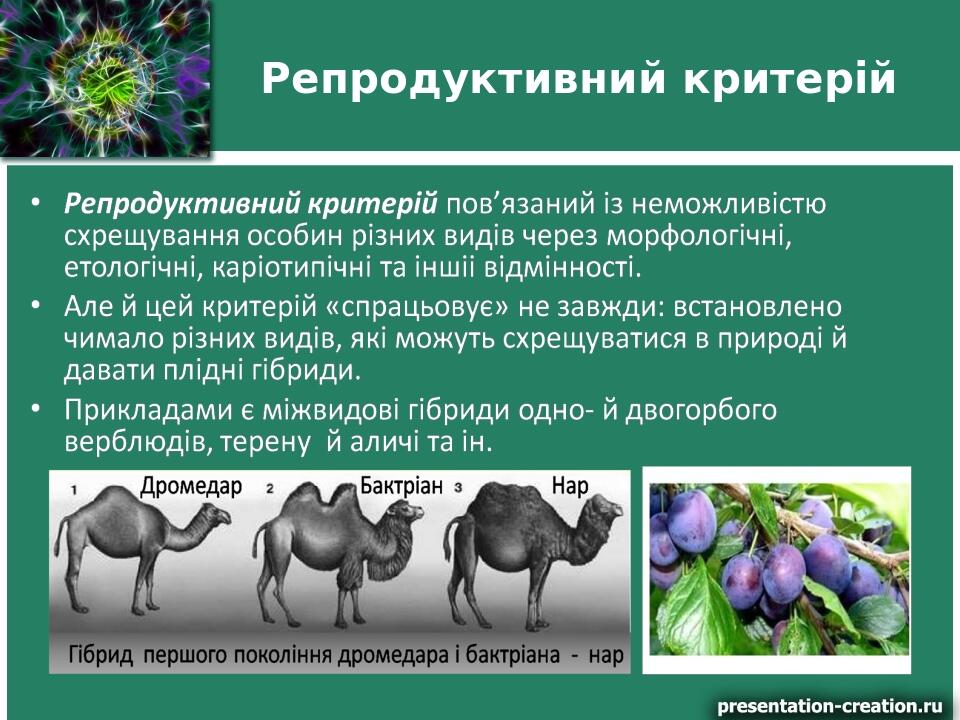 Репродуктивний критерій