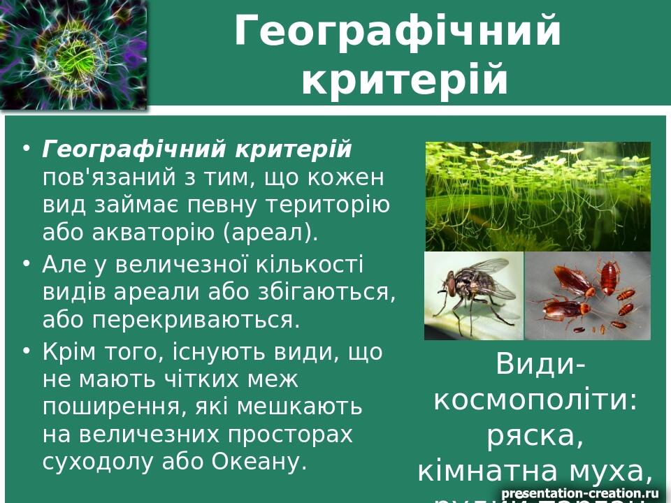 Географічний критерій Географічний критерій пов'язаний з тим, що кожен вид займає певну територію або акваторію (ареал). Але у величезної кількості...