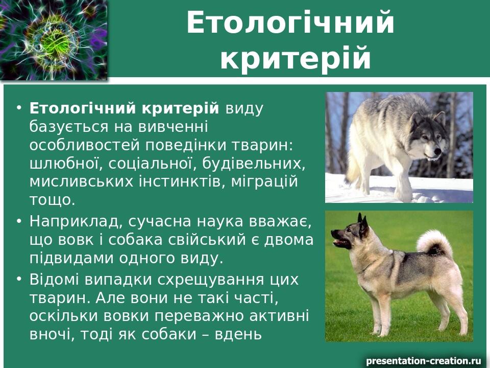 Етологічний критерій Етологічний критерій виду базується на вивченні особливостей поведінки тварин: шлюбної, соціальної, будівельних, мисливських і...