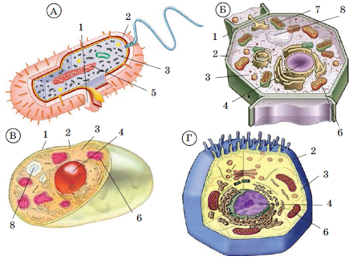 02019q4p-e544-538x394.png