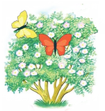 02019q7g-3f07-151x160.png