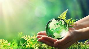 Тематичне оцінювання до теми "Nature and Environment"(тренувальний тест) 