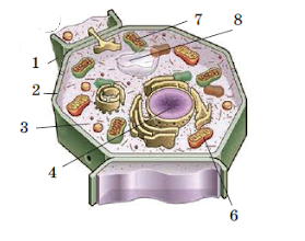 02019qs2-f4c1-366x289.png