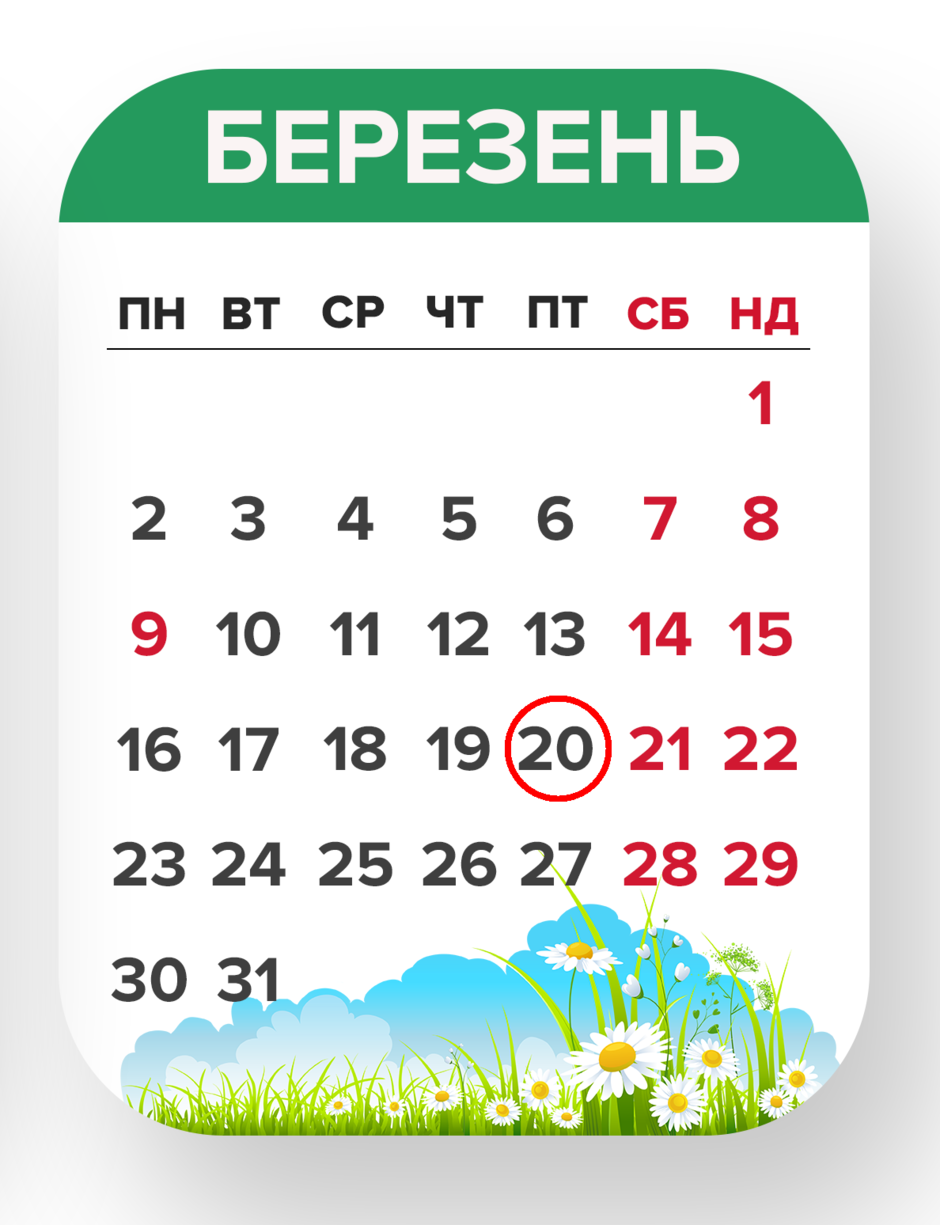02019sj9-20e7-940x1225.png