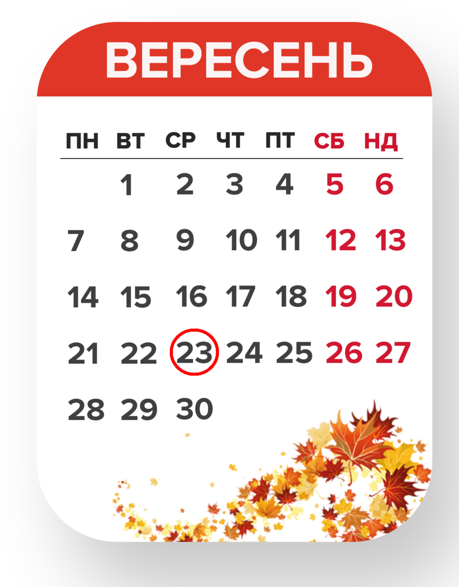 02019sjd-4964-940x1203.png