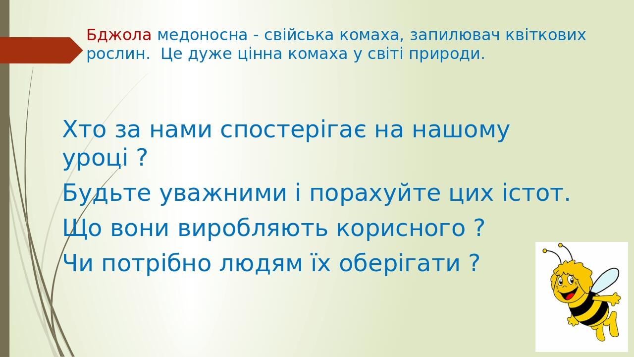 Правила переносу слів, закріплення. 2 клас, НУШ | Презентація ...