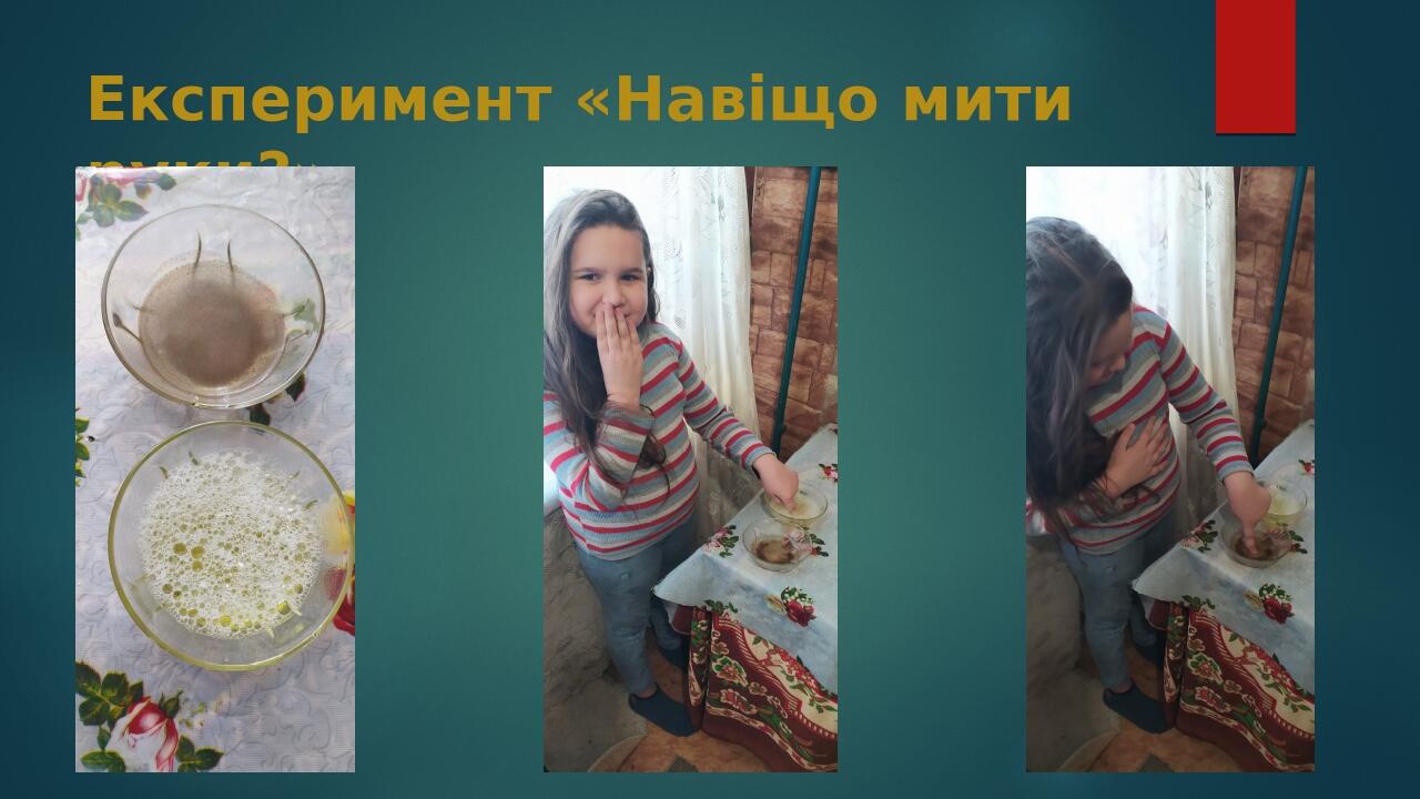 Експеримент «Навіщо мити руки?»