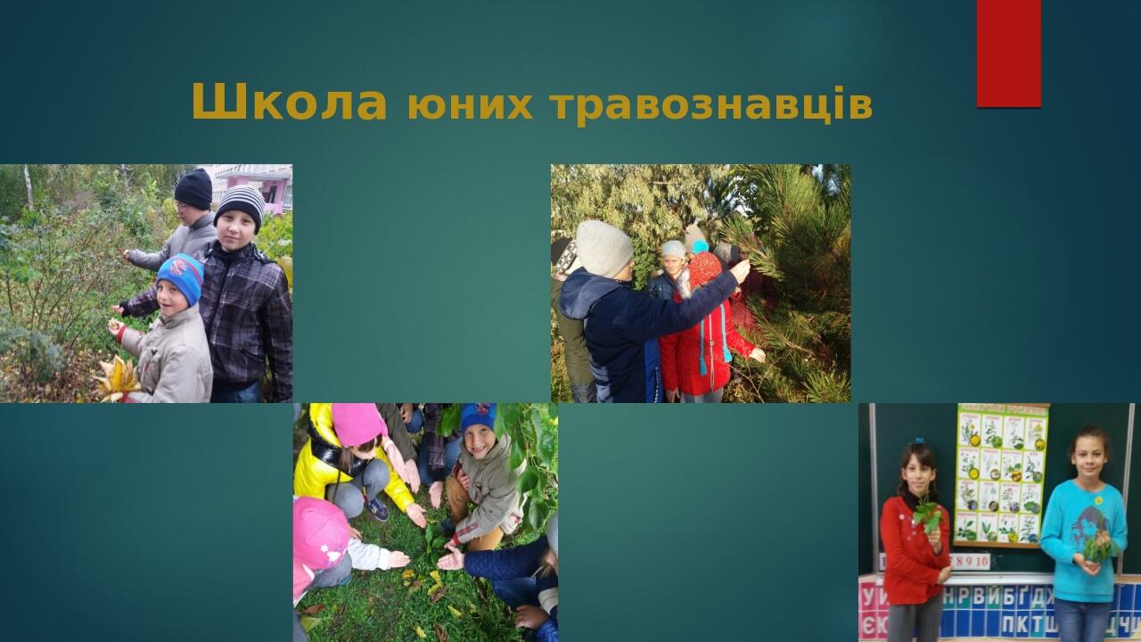 Школа юних травознавців