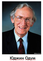 02019wim-19d5-141x198.png