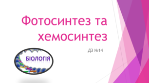 Фотосинтез та хемосинтез (ДЗ)