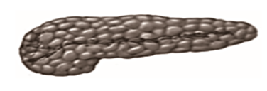 02019xts-7b41-376x128.png