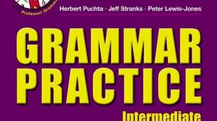 Grammar practice (Present Perfect Tense, Past Simple and Present Perfect Continuous)