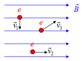 02019zjy-9e09-169x126.png
