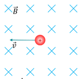 02019zmx-8329-165x159.png