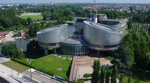 Презентація з громадянської освіти для учнів 10 класу на тему:"Практичне заняття. «Європейський суд з прав людини» "