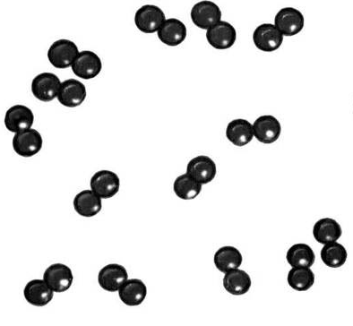 0201a70k-fa63-394x364.png
