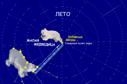 0201a7vl-f1a0-501x334.gif