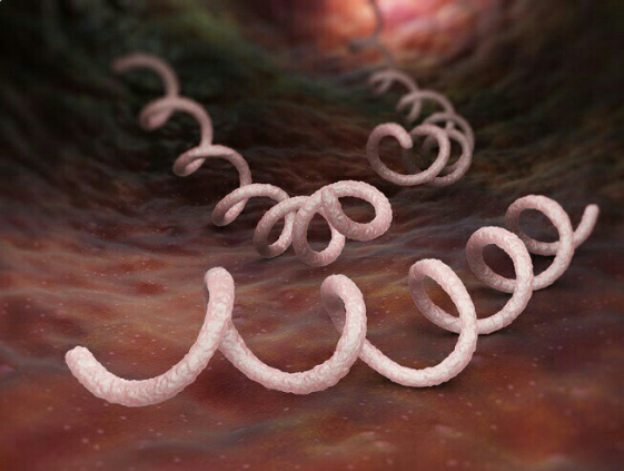 0201a86a-5995-561x423.png