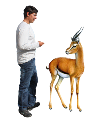 0201a86n-e519-329x402.png