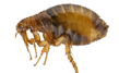 0201a8qa-5ad3-109x67.png