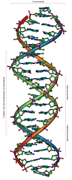 0201a93n-212e-142x355.png