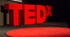 TED-конференція "Видатні українці, які змінили світ"