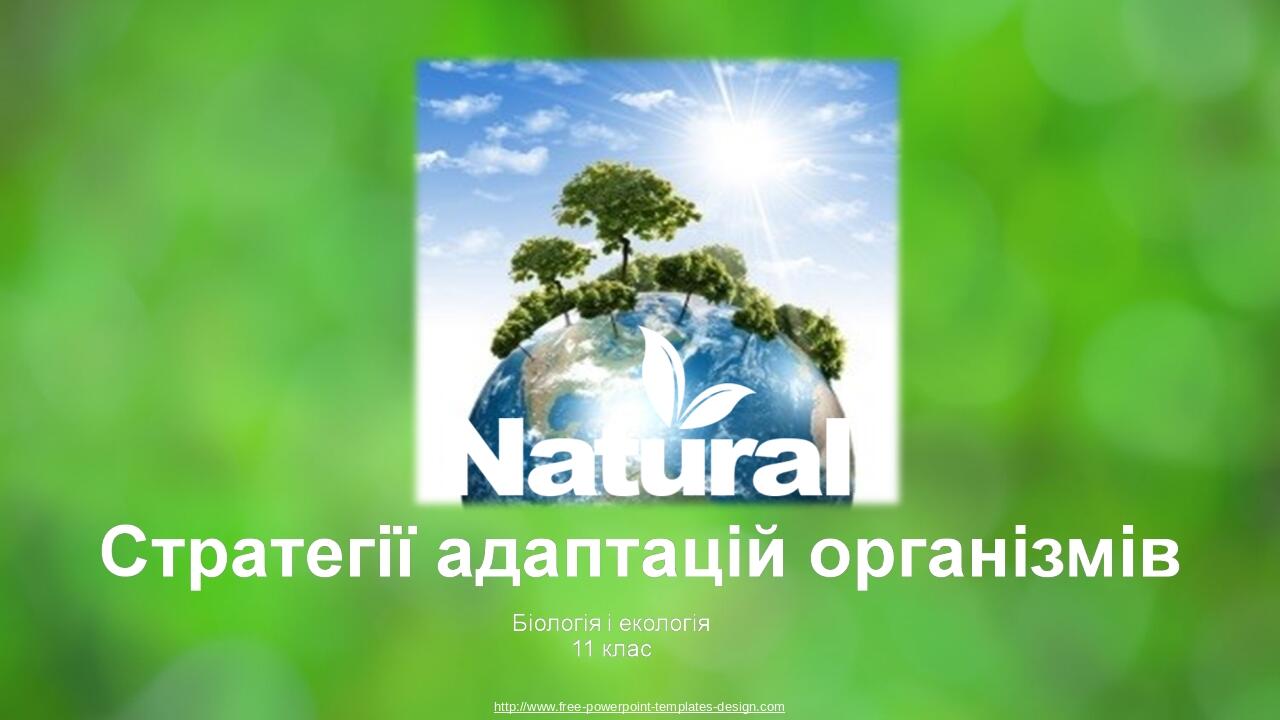 http://www.free-powerpoint-templates-design.com Your Presentation Name Here Insert your subtitle here
