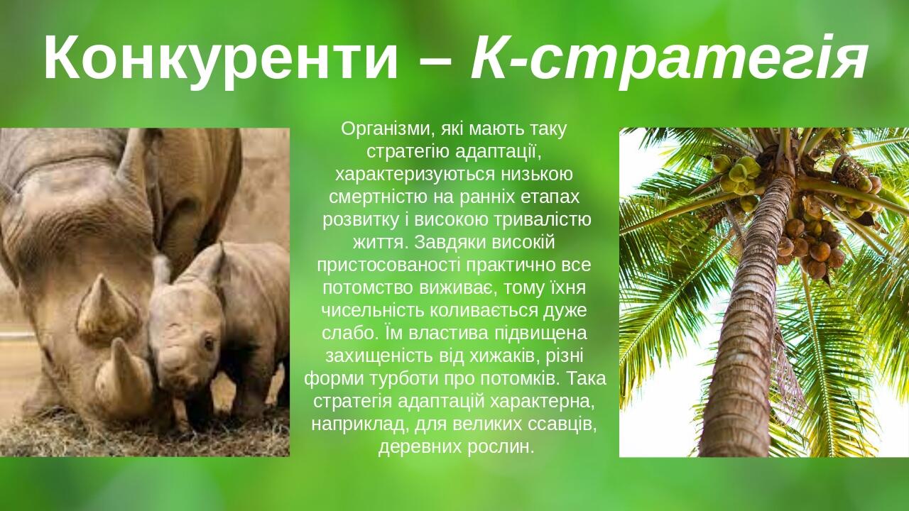 Організми, які мають таку стратегію адаптації, характеризуються низькою смертністю на ранніх етапах розвитку і високою тривалістю життя. Завдяки ви...