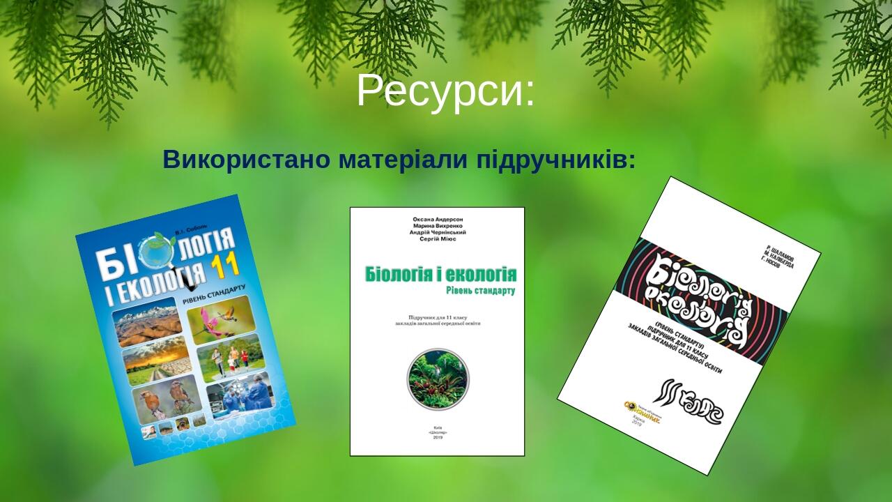 Ресурси: Використано матеріали підручників: BASIC LAYOUT