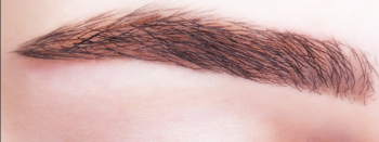 0201aa6n-f3f2-350x131.png