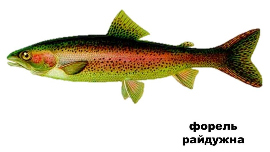 0201abxu-36db-940x529.jpg