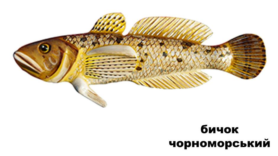 0201abxz-36d4-940x529.jpg