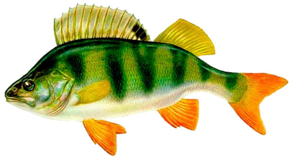 0201ac05-1c71-940x529.jpg
