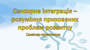 Сенсорна інтеграція – розуміння прихованих проблем розвитку