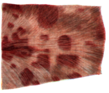 0201adkv-3cec-155x133.png