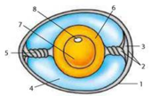 0201aeg4-50ee-170x108.png