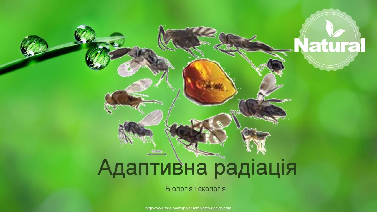 http://www.free-powerpoint-templates-design.com