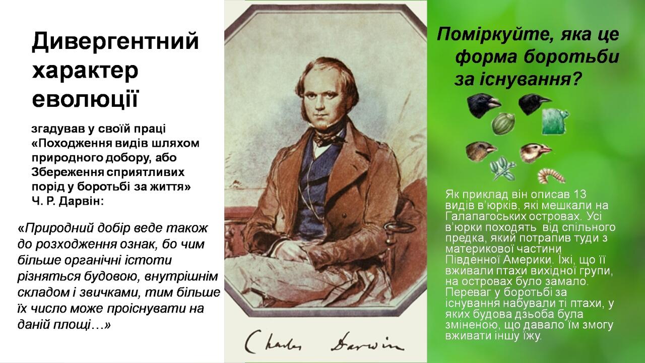 Your Picture Here