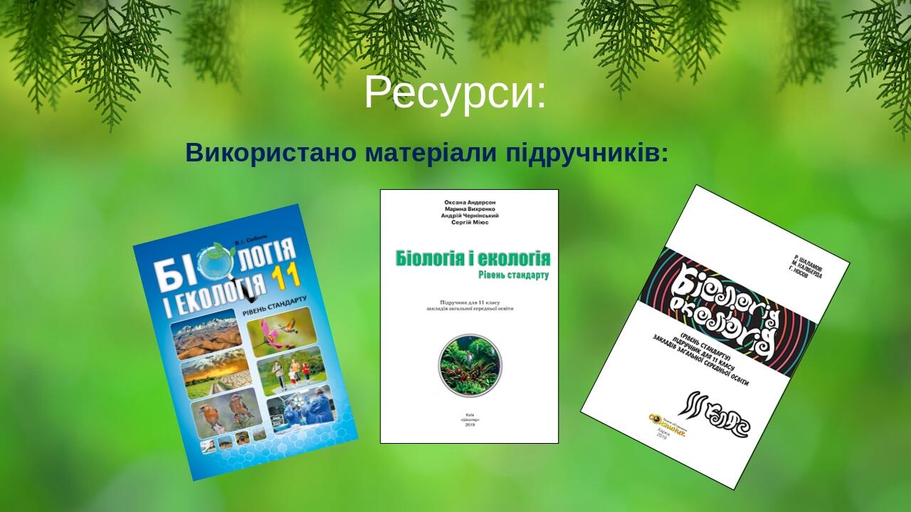 Ресурси: Використано матеріали підручників: BASIC LAYOUT