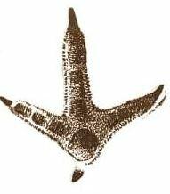 0201ahjb-e4c0-191x218.jpg