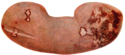 0201ai86-d0e5-246x108.png