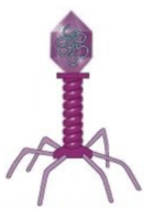 0201aio6-9ba1-140x199.png