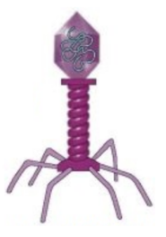 0201aio6-9ba1-140x199.png