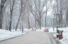 Файл:Маріїнський парк взимку 01.jpg — Вікіпедія