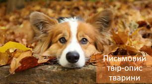 Твір-опис тварини у художньому стилі