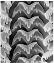 0201ao3f-bd9a-234x274.png