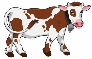 Рисунок коровы карандашом для детей (27 фото) 🔥 Прикольные картинки и юмор