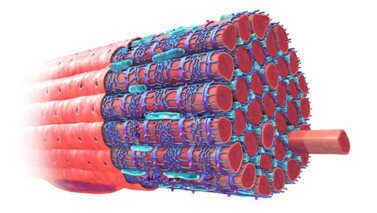 0201apjf-0a56-377x213.png